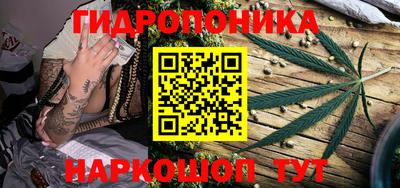 спайс Гусь-Хрустальный