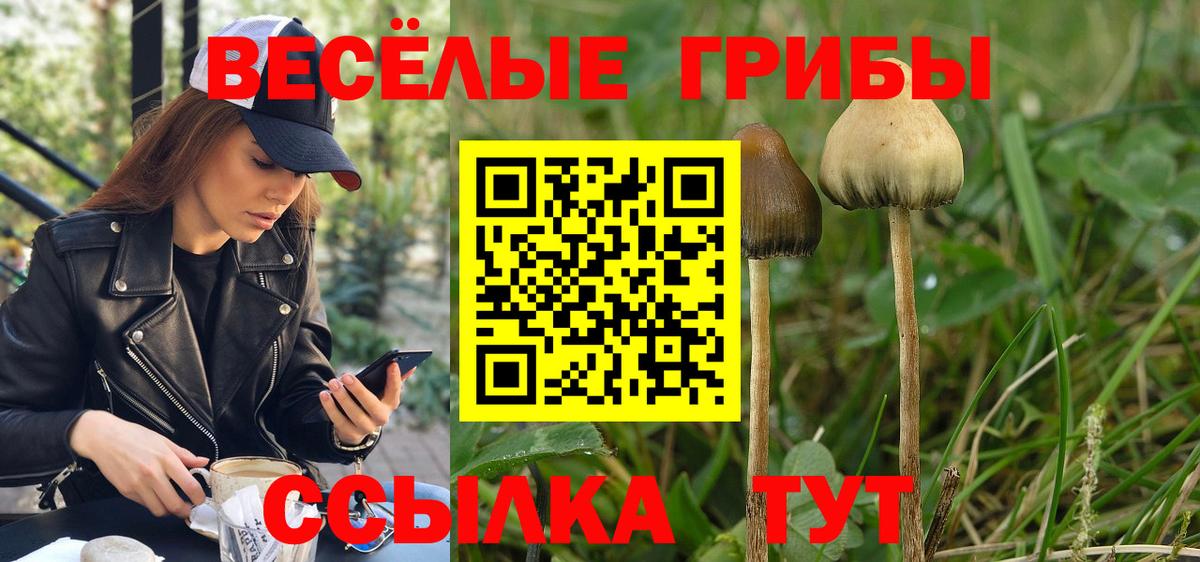 Псилоцибиновые грибы Magic Shrooms  Галлюциногенные грибы мицелий  магазин  наркотиков  Касимов  Вход с VPN 